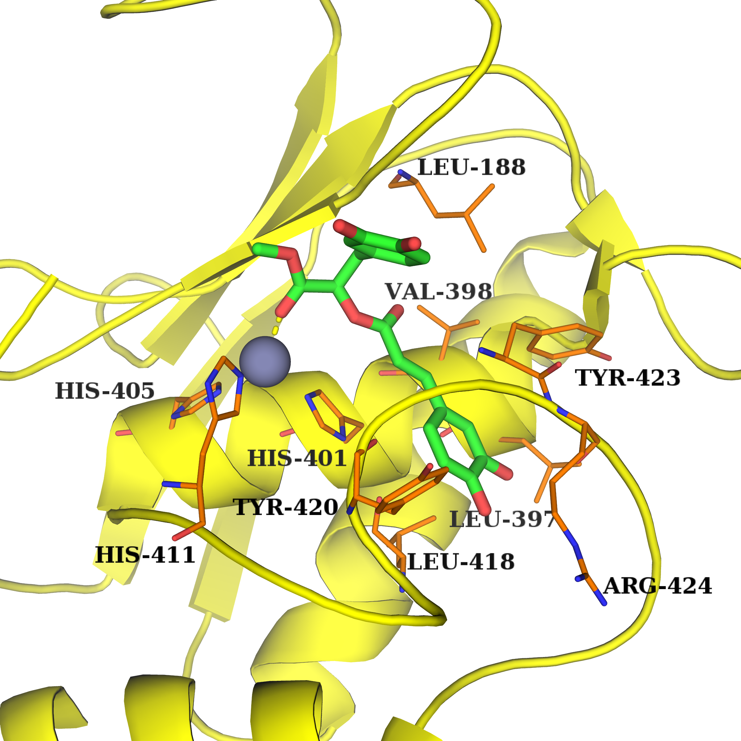 Identification of novel MMPs inhibitors from the natrual product database